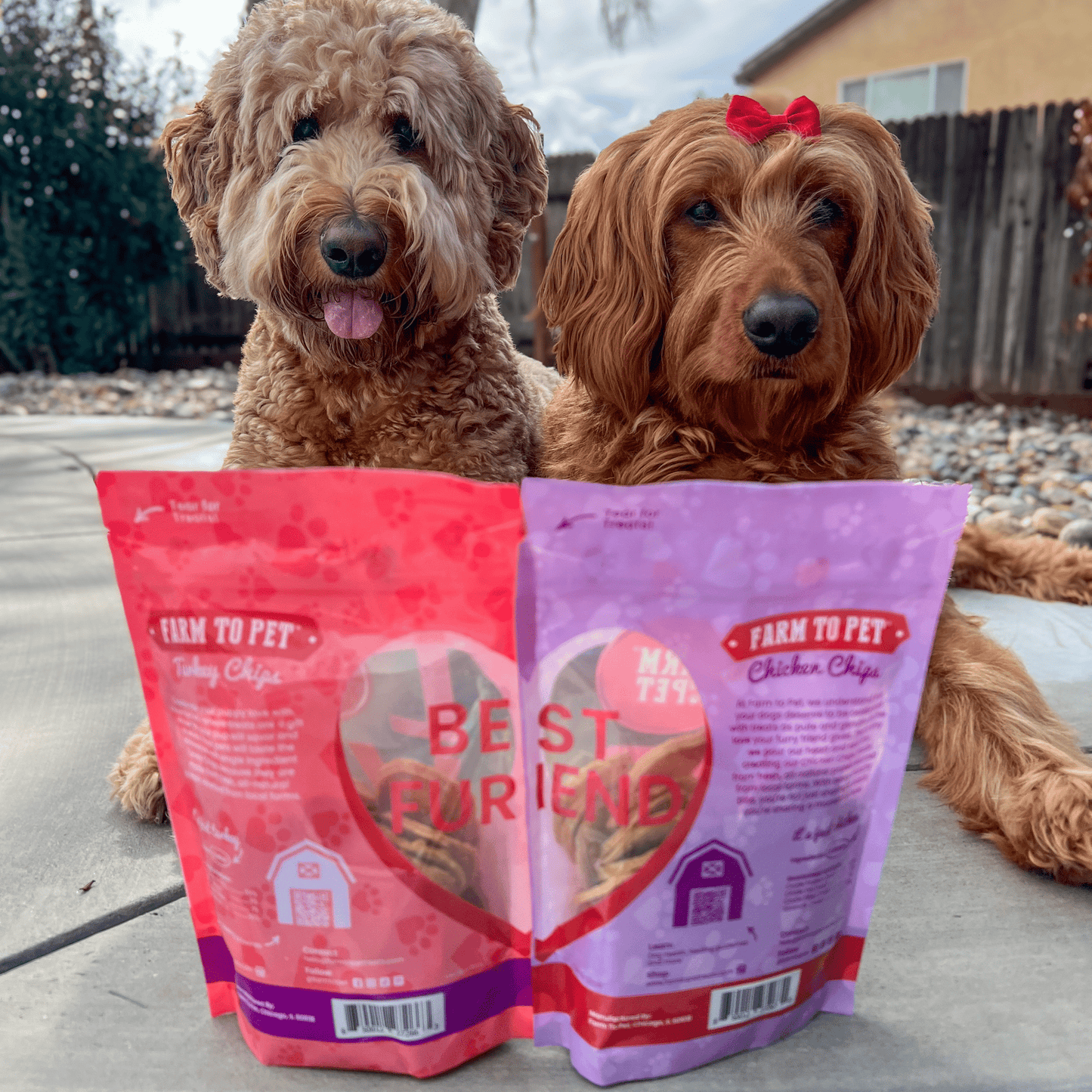 Puppy Love Dog Treat | Poultry Treat Variety Pack