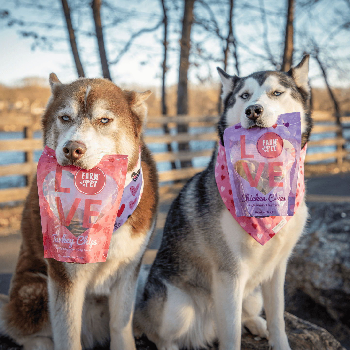 Puppy Love Dog Treat | Poultry Treat Variety Pack